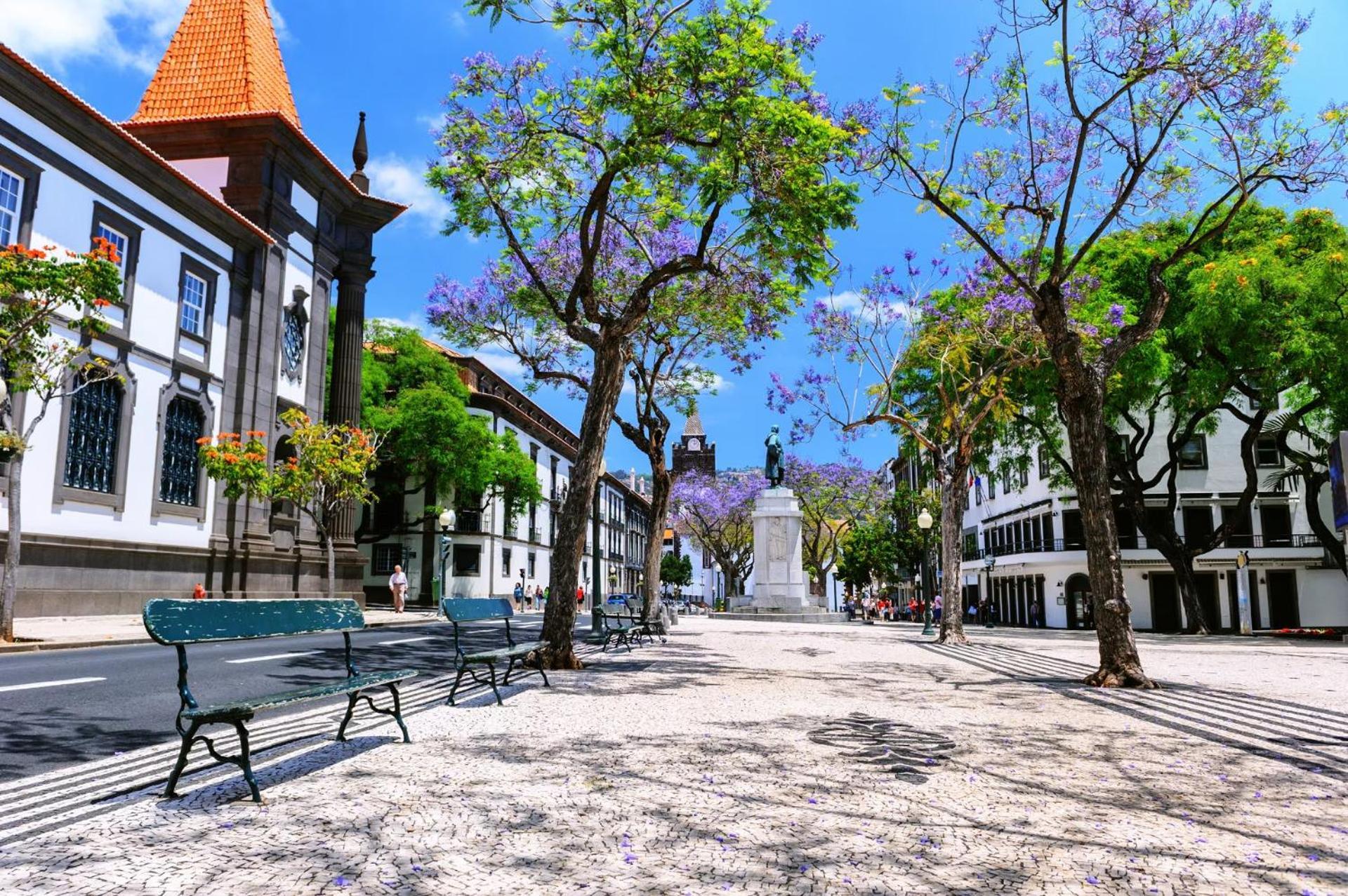 Stylish Apartment With Balcony And Amazing Views Over Funchal And The Sea Zewnętrze zdjęcie